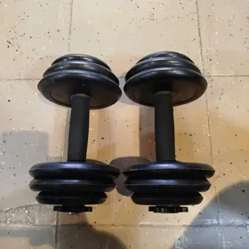 gantel