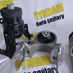 Motor Podusgalar 18-24 ý