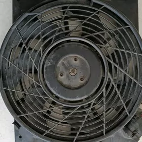 Opel wintlyator