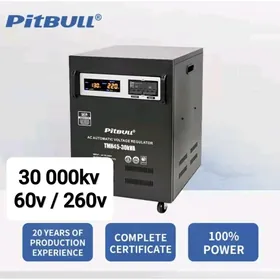 PITBULL TOK KOPELDYÄN