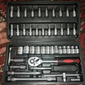 Acar kici nabor