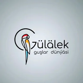 işgär gerek