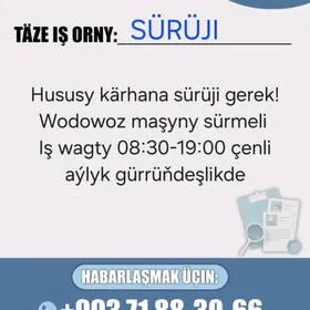 Sürüji Водитель