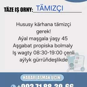 Tämizçi