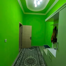 Elitka satlyk jaý