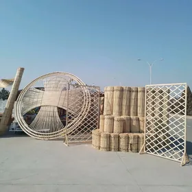 Gamyş gotaz ak gara òý gamyş