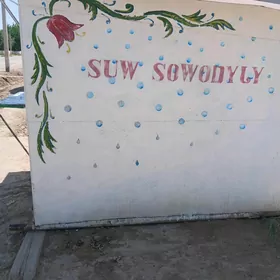 Suw satylyan butka