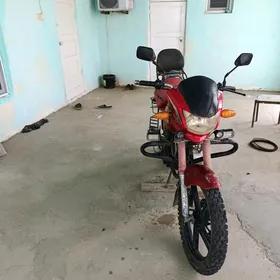 Fekon FK200-14G 2020