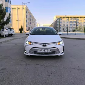 Toyota Corolla 2021