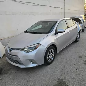 Toyota Corolla 2014