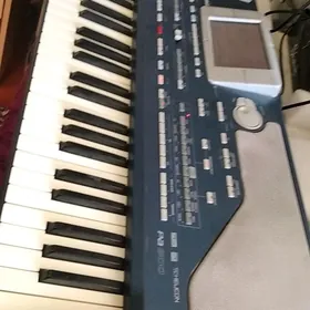 Korg pa 800