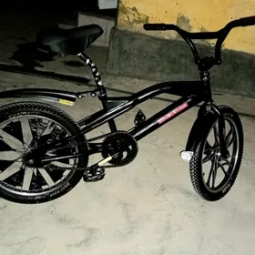 tıgır 20 lık