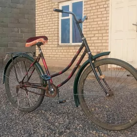 tigir