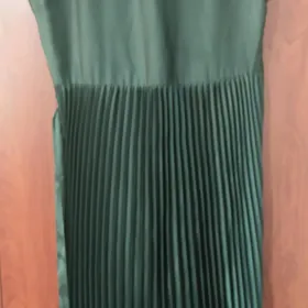 Koynegi