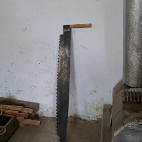 Byçgy Družba