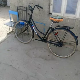 tigir 26lyk heleýrama