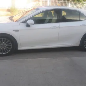 Toyota Camry 2019