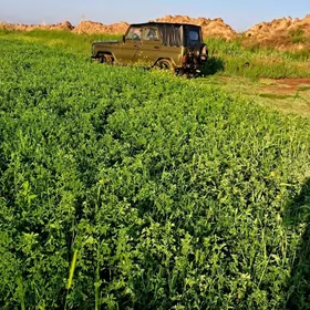UAZ 469 2001