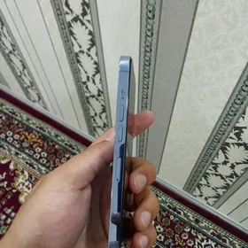 13pro