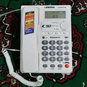 Telefon Domasniy