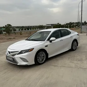 Toyota Camry 2020