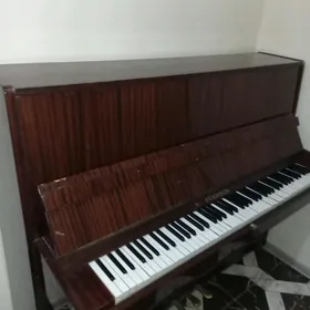 Pianino Belarus