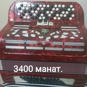 Баян