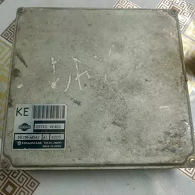 Nissan Potfiender 3.5л
