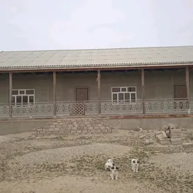 Täze ýaşalmadyk jaý