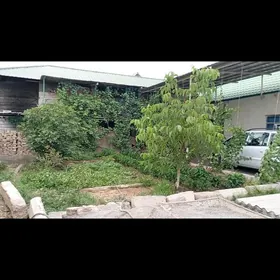Çoganly 10 sot 135m²Balkan koc