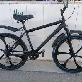 26 lyk tigir