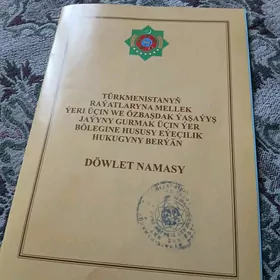 satlyk jay