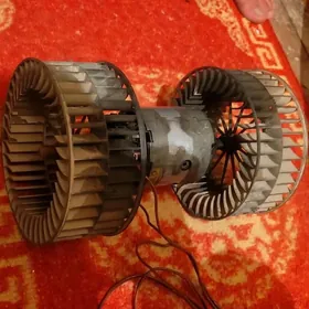 bmw pec wiltinatory
