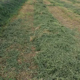 is