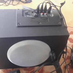 1 BASS BOCKA,3 KALONKA TAZE