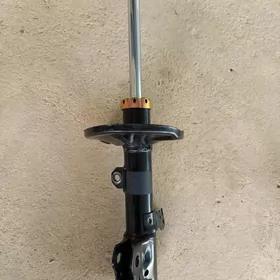 Korolla amantizator