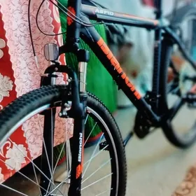Велосипед Bianchi. 29.