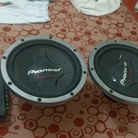 pionerr