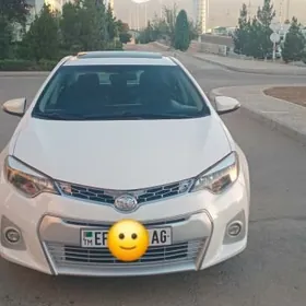 Toyota Corolla 2014