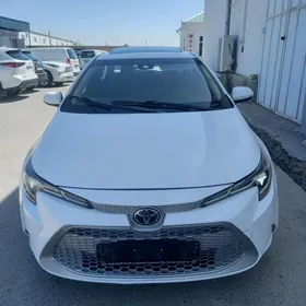 Toyota Corolla 2020