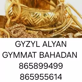 Gyzyl alyan