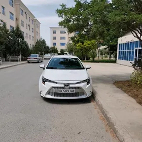 Toyota Corolla 2021