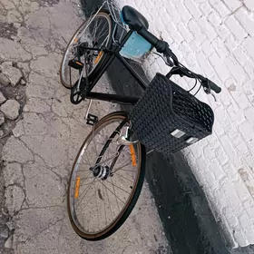 tigir Yapon 27