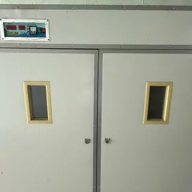 инкубатор