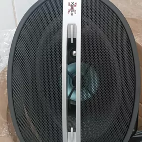 Sony kalonka 300W
