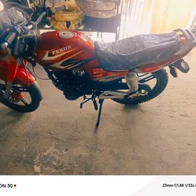 Fekon FK150-8G 2025
