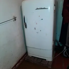 Haladenik zil maskwa