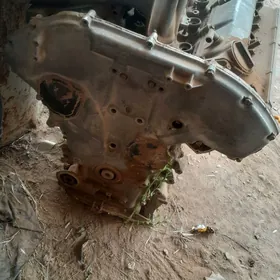 Nissan mator maksima