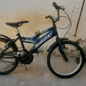 Velsapet