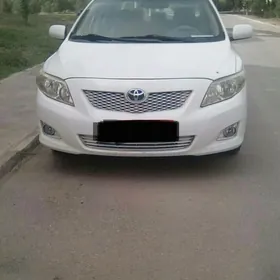 Toyota Corolla 2010